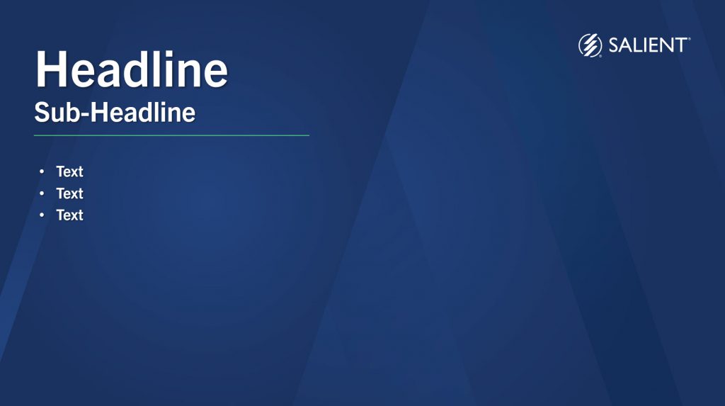 2024 PPT SALIENT TEMPLATE IMAGE Salient Management Company